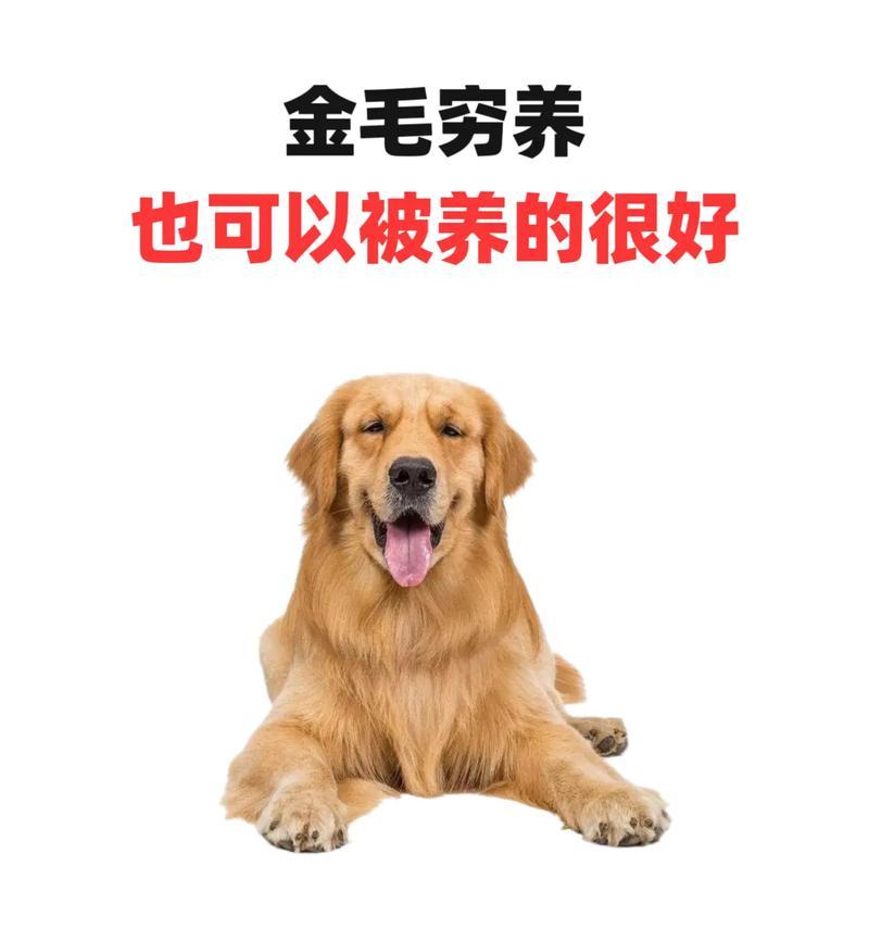 文章详情图片
