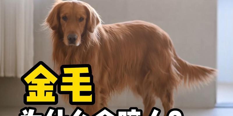 文章详情图片