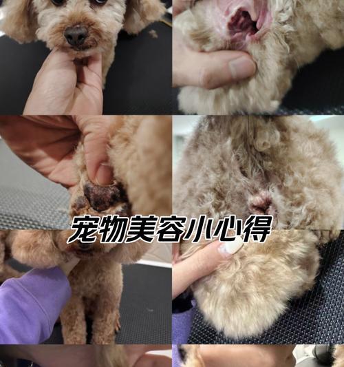 文章详情图片