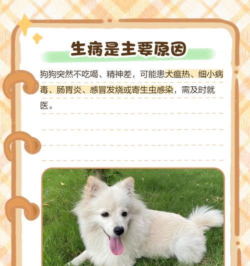 文章详情图片