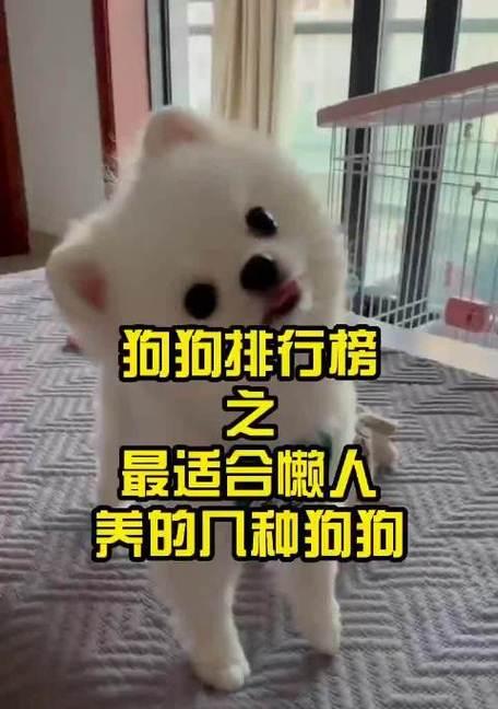 文章详情图片