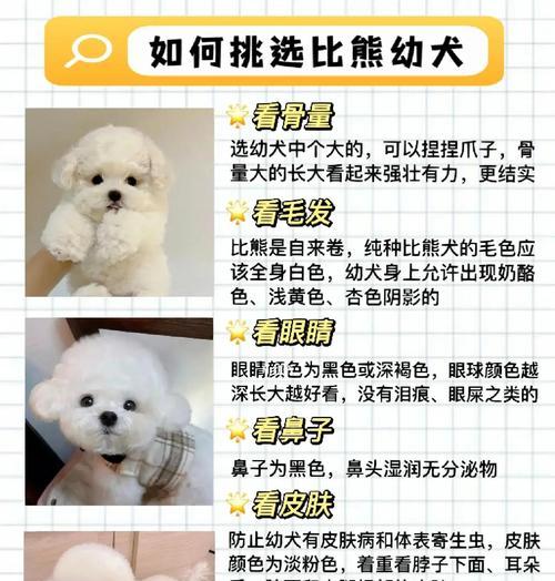 文章详情图片