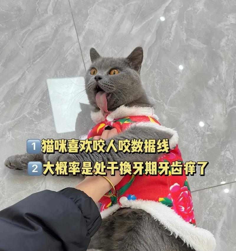文章详情图片