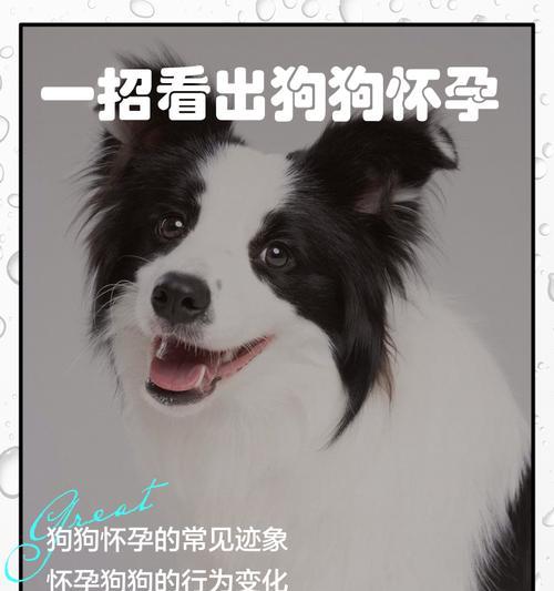 文章详情图片