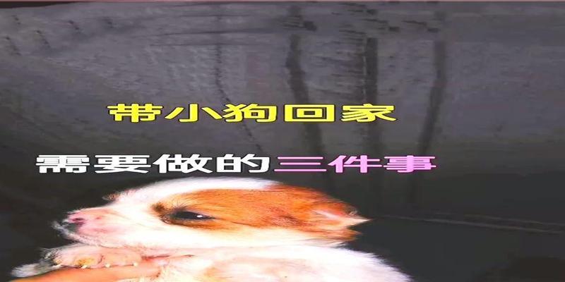文章详情图片