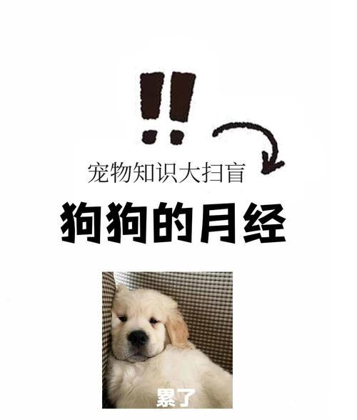 文章详情图片