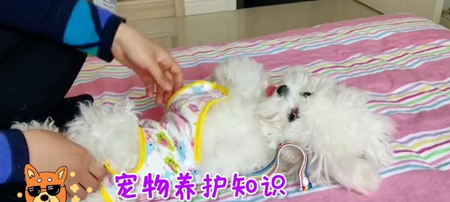 文章详情图片