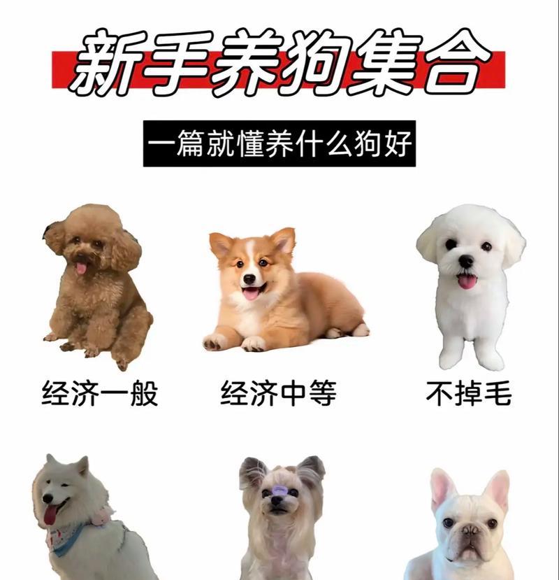文章详情图片