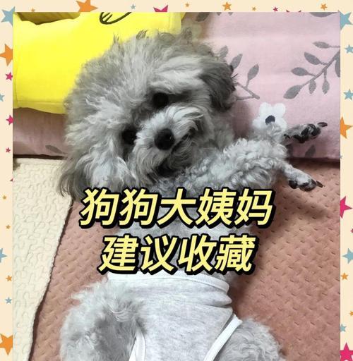 文章详情图片