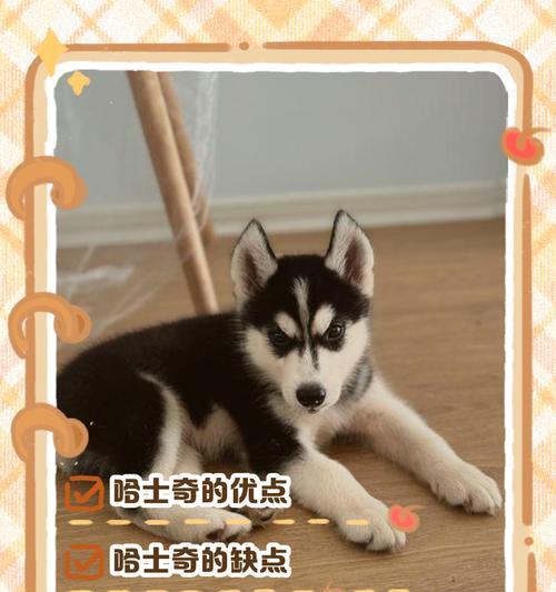 文章详情图片