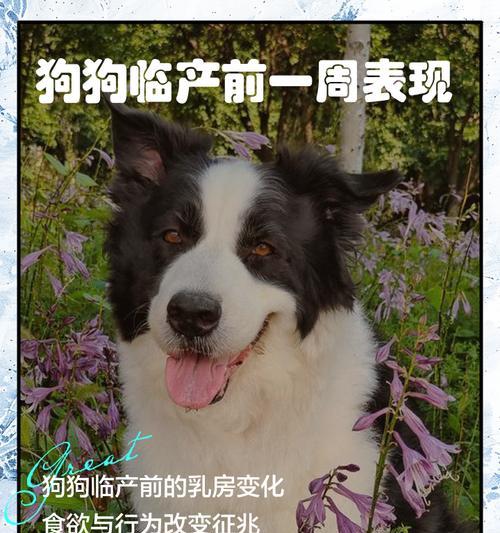 文章详情图片