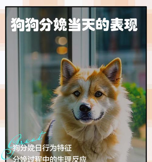 文章详情图片