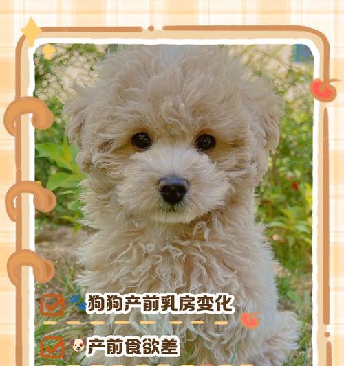 文章详情图片