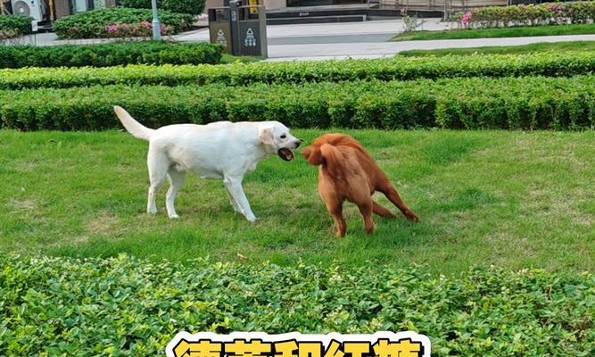文章详情图片
