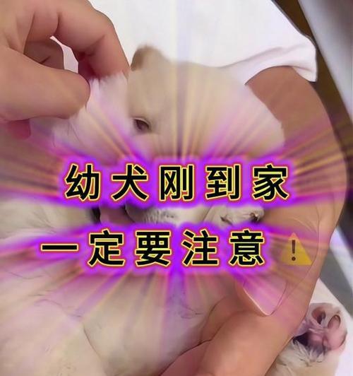 文章详情图片