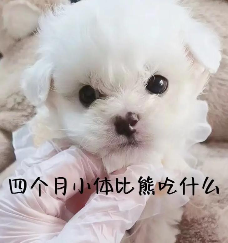 文章详情图片