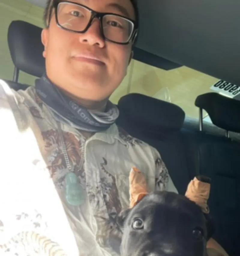 文章详情图片