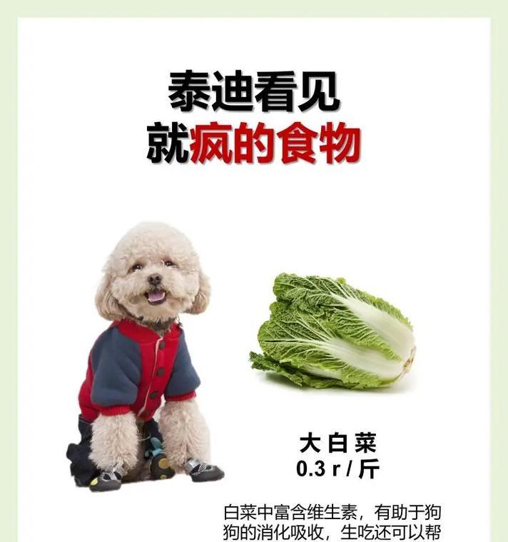 文章详情图片