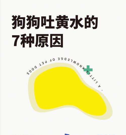 文章详情图片