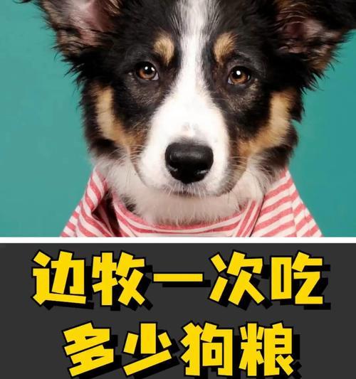文章详情图片
