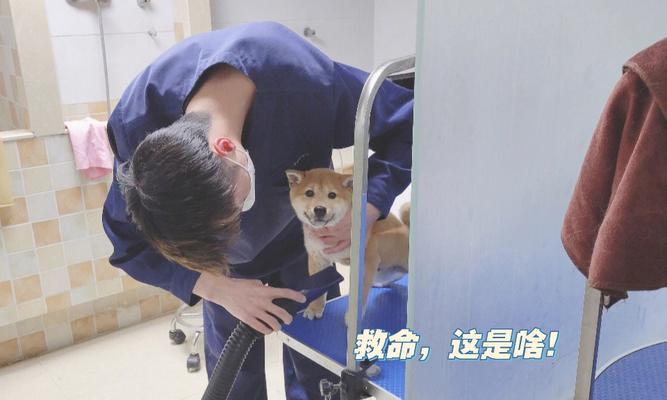 文章详情图片