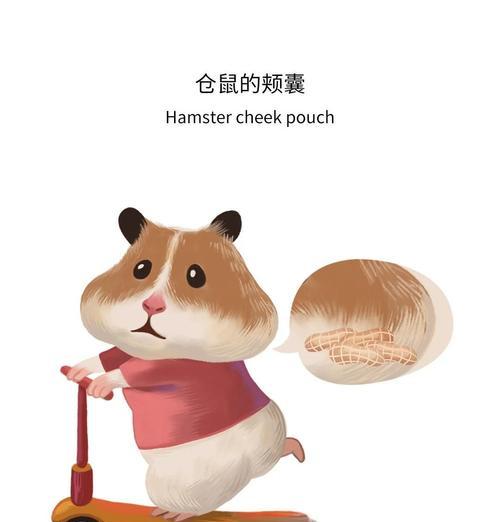 文章详情图片
