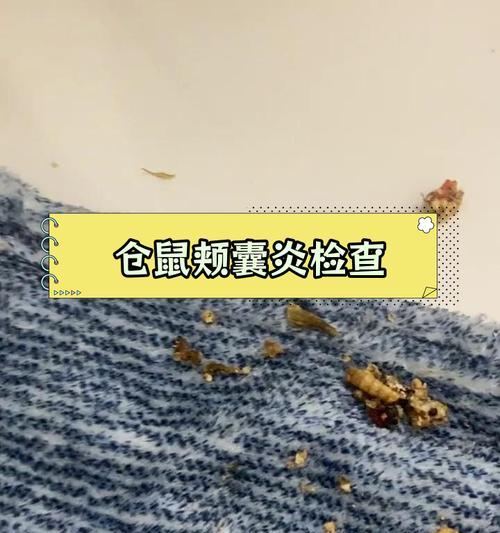 文章详情图片
