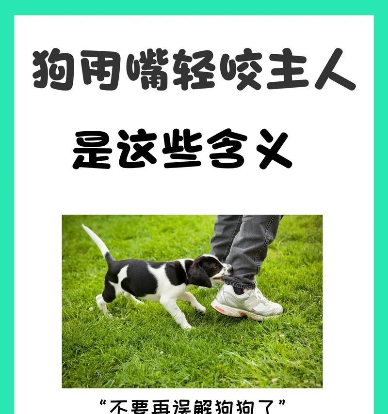 文章详情图片