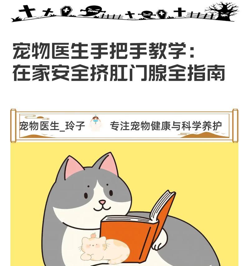 文章详情图片