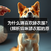 为什么猫喜欢舔衣服？（解析猫咪舔衣服的原因及其影响）（图2）
