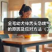 金毛幼犬伸舌头急喘气的原因及应对方法（了解幼犬急喘气背后的原因，保护金毛宝宝的健康）（图2）