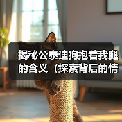 揭秘公泰迪狗抱着我腿的含义（探索背后的情感需求与行为表达）（图1）