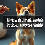 揭秘公泰迪狗抱着我腿的含义（探索背后的情感需求与行为表达）（图2）