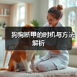 狗狗断甲的时机与方法解析（图1）