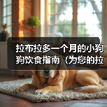 拉布拉多一个月的小狗狗饮食指南（为您的拉布拉多小狗狗提供营养均衡的食物）（图1）