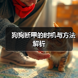 狗狗断甲的时机与方法解析（图3）