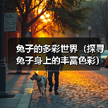 兔子的多彩世界（探寻兔子身上的丰富色彩）（图3）
