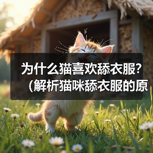 为什么猫喜欢舔衣服？（解析猫咪舔衣服的原因及其影响）（图1）