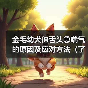 金毛幼犬伸舌头急喘气的原因及应对方法（了解幼犬急喘气背后的原因，保护金毛宝宝的健康）（图1）