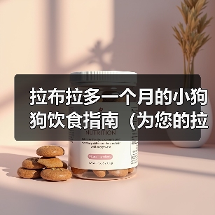 拉布拉多一个月的小狗狗饮食指南（为您的拉布拉多小狗狗提供营养均衡的食物）（图3）