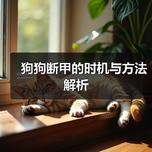 狗狗断甲的时机与方法解析（图2）
