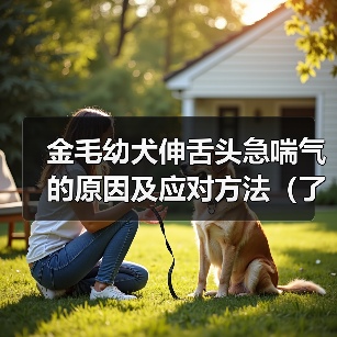 金毛幼犬伸舌头急喘气的原因及应对方法（了解幼犬急喘气背后的原因，保护金毛宝宝的健康）（图3）