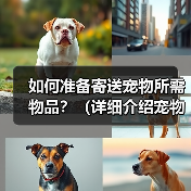 如何准备寄送宠物所需物品？（详细介绍宠物寄送过程中需要准备的必备物品）（图1）