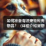 如何准备寄送宠物所需物品？（详细介绍宠物寄送过程中需要准备的必备物品）（图3）