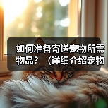 如何准备寄送宠物所需物品？（详细介绍宠物寄送过程中需要准备的必备物品）（图4）