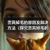 贵宾掉毛的原因及解决方法（探究贵宾掉毛的问题，保持贵宾犬健康光滑毛发）（图3）
