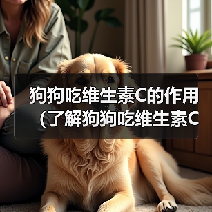 狗狗吃维生素C的作用（了解狗狗吃维生素C的重要性）（图1）