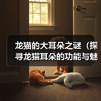 龙猫的大耳朵之谜（探寻龙猫耳朵的功能与魅力）（图1）