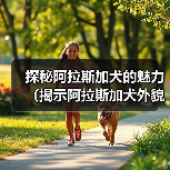 探秘阿拉斯加犬的魅力（揭示阿拉斯加犬外貌、性格及培养要点）（图2）