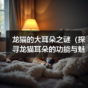 龙猫的大耳朵之谜（探寻龙猫耳朵的功能与魅力）（图3）